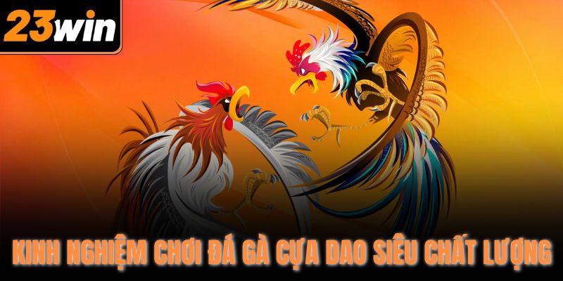 Kinh nghiệm chơi đá gà cựa dao siêu chất lượng