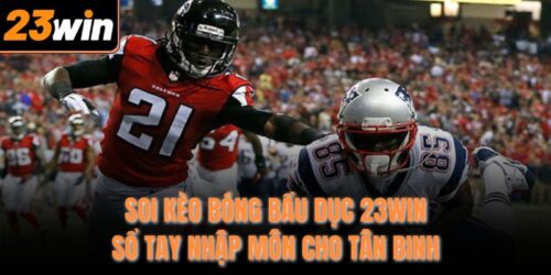 soi keo bong bau duc 23win – so tay nhap mon cho tan binh