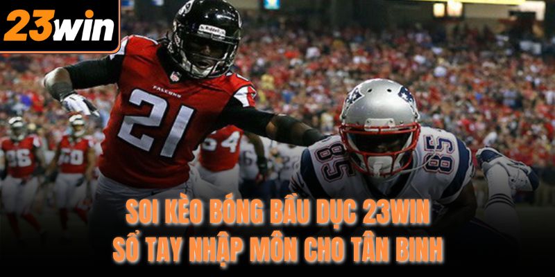 soi keo bong bau duc 23win – so tay nhap mon cho tan binh